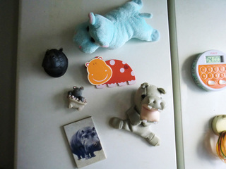 CIMG0247.JPG